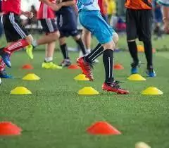 Cono tortuga 7 CM coordinacion - comprar online