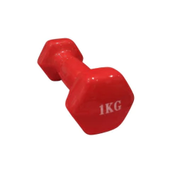 Mancuerna recubierta de vinilo precio por KG en internet