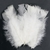 Pena de Costa - 20g - comprar online