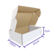 Caixa de Papelão BRANCA 21x15x7 na internet