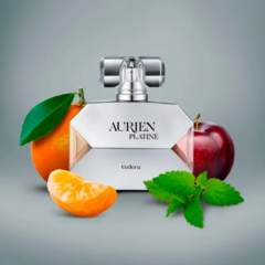 Presente Aurien Platiné + Caixa na internet