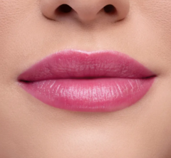 Hidra Balm Rosa Niina Secrets 3,2g - comprar online