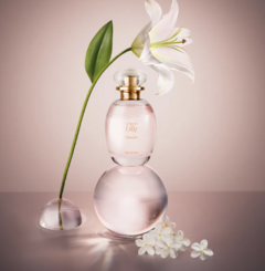 Presente L’eau de Lily Blanche + Caixa de Presente na internet