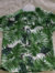 camisa hawaiana de bebé en internet