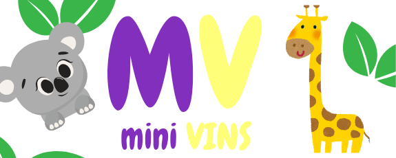 Mini VINS