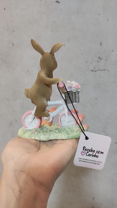 Coelhinho de Páscoa andando de bicicleta em resina 13,5cm x 10,5cm na internet