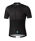 JERSEY SHIMANO ELEMENT SHORT SLEEVE