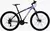 Bicicleta Oxea Riddich R29 en internet