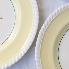 Conjunto pratos rasos ingleses - loja online