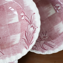Conjunto pratos ingleses | jardim xadrez rosado