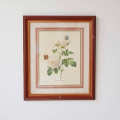 Quadro botânico na internet