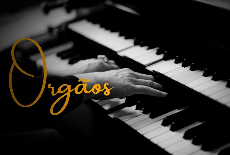 Banner de Emariano Instrumentos Musicais | Loja de Instrumentos em Barueri
