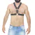 Harness Y Botão