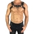 Harness H Fivela