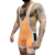 Imagem do Wrestling Semi Transparente