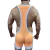 Wrestling Semi Transparente