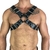 Harness X Fivela - Yes Sir