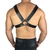 Harness X Fivela na internet
