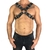 Harness X Fivela