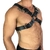 Harness X Fivela - comprar online