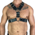 Harness Y Fivela - Yes Sir
