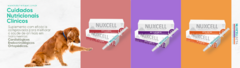 Banner da categoria Nuxcell Beta