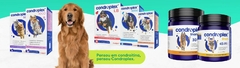 Banner da categoria Linha Condroplex
