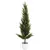 Mini Árvore Cachepote 35cm - PRÉ-VENDA - comprar online