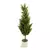 Mini Árvore Cachepote 30cm - PRÉ-VENDA - comprar online