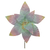 Flor Colorida