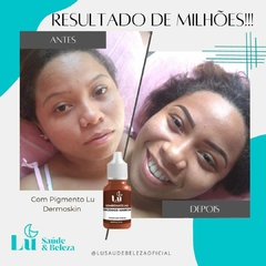 PIGMENTO MARRON - LUDERMASKIN