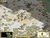 Civilization III & IV Complete Edition - Pc Envio Digital - loja online