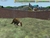 Imagem do Zoo Tycoon 2 - Ultimate Collection - Pc Envio Digital