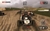 Colin McRae Dirt - Pc Digital na internet