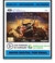 Age of Empires 3 - Complete Collection - Pc Digital