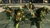 Teenage Mutant Ninja Turtles Mutants in Manhattan - Pc Digital - comprar online