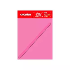 KIT DE SACO DE PRESENTE FÁCIL SORTIDO LISO COM LAÇO E CARTÃO CROMUS 25cm x 37cm M3