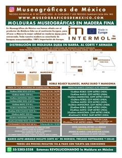 Banner de la categoría Moldura Museográfica importada de Europa