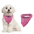 COLLAR CON PAÑUELO - Pet´s Boutique 