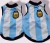CAMISETA DE ARGENTINA - tienda online