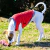 CAMPERITA MATELASSE CON POLAR PARA GATOS Y PERROS