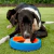 CHUCKIT FETCH WHEEL - Pet´s Boutique 
