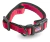 COLLAR ACOLCHADO REGULABLE RASCALS en internet