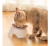 COMEDERO EN ALTURA PARA GATOS IMPORTADO