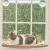 CUNA DE GATO PARA VENTANA - comprar online