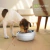 COMEDERO PETGEEK 2 EN 1 CON BALANZA DIGITAL - Pet´s Boutique 