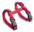 CONJUNTO ARNES Y CORREA PARA GATO RASCALS - comprar online