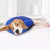Imagen de COLLAR ISABELINO INFLABLE