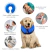 COLLAR ISABELINO INFLABLE - Pet´s Boutique 