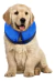 COLLAR ISABELINO INFLABLE